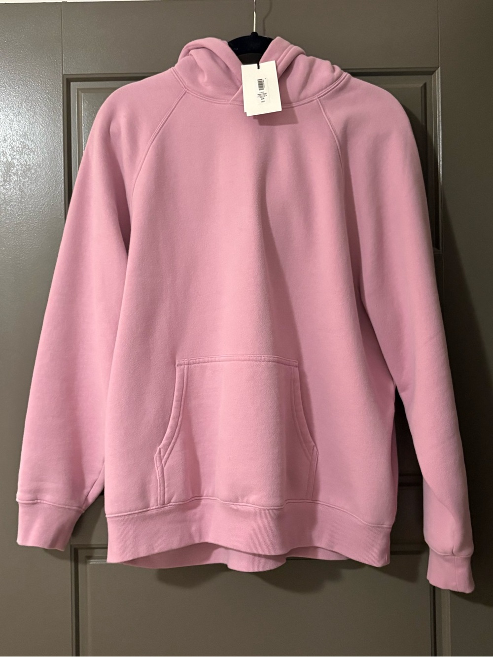 NWT Aritzia Cozy Sweatfleece Mega Raglan Hoodie